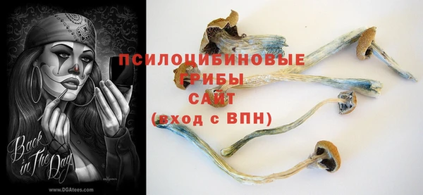 бутират Бугульма
